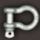 Shackle WLL 2 t 